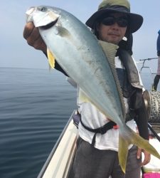 シーモンキー 釣果