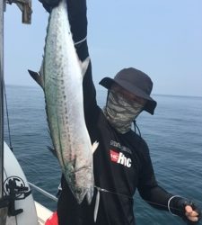 シーモンキー 釣果