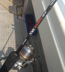 シーモンキー 釣果