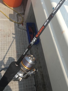 シーモンキー 釣果