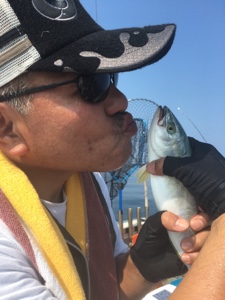 シーモンキー 釣果