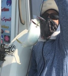 シーモンキー 釣果