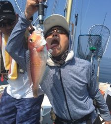 シーモンキー 釣果