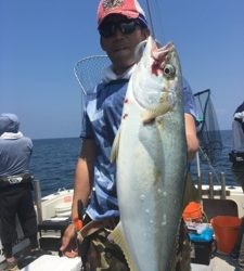 シーモンキー 釣果