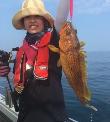 シーモンキー 釣果