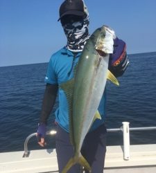 シーモンキー 釣果