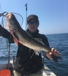 シーモンキー 釣果