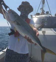 シーモンキー 釣果