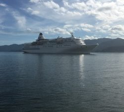 シーモンキー 釣果