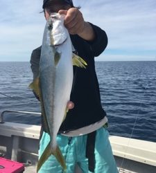 シーモンキー 釣果