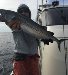 シーモンキー 釣果