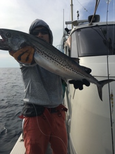 シーモンキー 釣果