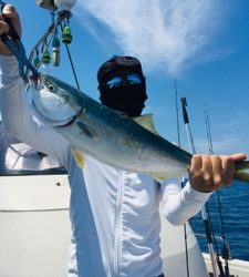 シーモンキー 釣果