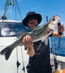 シーモンキー 釣果