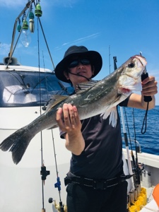 シーモンキー 釣果