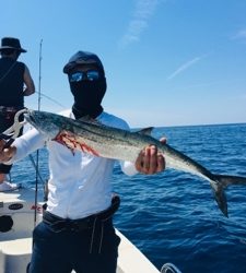 シーモンキー 釣果