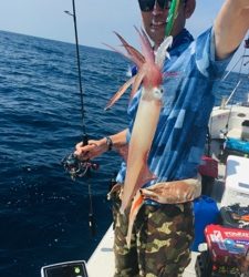 シーモンキー 釣果