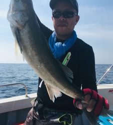 シーモンキー 釣果