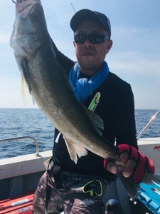 シーモンキー 釣果