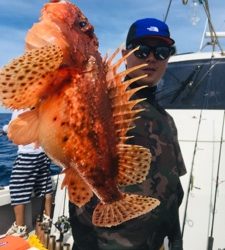 シーモンキー 釣果