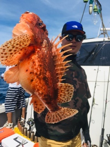 シーモンキー 釣果