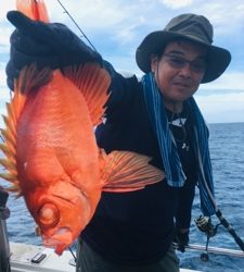 シーモンキー 釣果