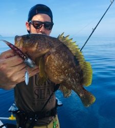 シーモンキー 釣果