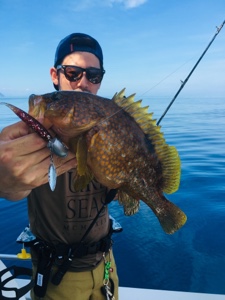 シーモンキー 釣果