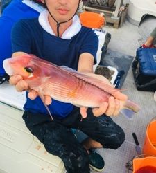 シーモンキー 釣果