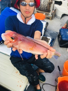 シーモンキー 釣果