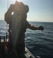 シーモンキー 釣果