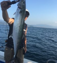 シーモンキー 釣果