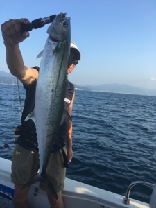 シーモンキー 釣果