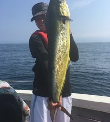 シーモンキー 釣果