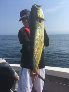 シーモンキー 釣果