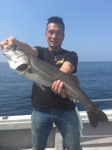 シーモンキー 釣果