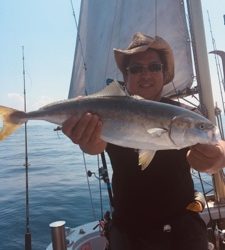 シーモンキー 釣果