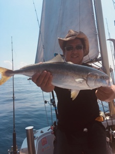 シーモンキー 釣果