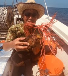 シーモンキー 釣果