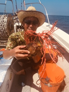 シーモンキー 釣果