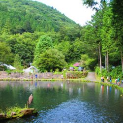 小菅トラウトガーデン 釣果