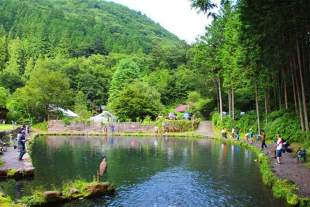 小菅トラウトガーデン 釣果