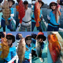 シードリーム 釣果