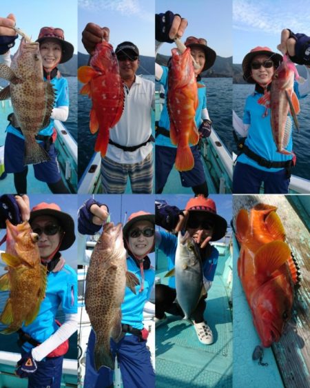 シードリーム 釣果