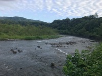 秩父フライフィールド 釣果