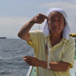 根岸丸 釣果