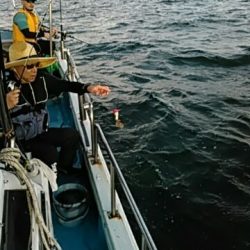 フィッシングガイド りょう 釣果