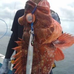 海晴丸 釣果