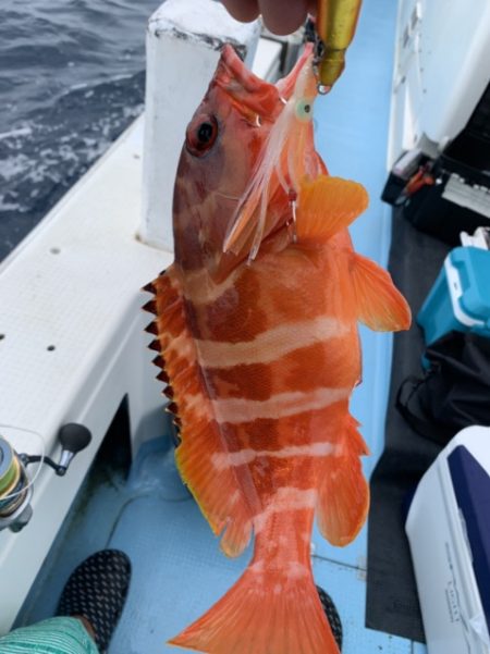 海晴丸 釣果