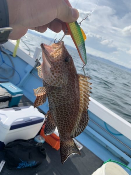 海晴丸 釣果